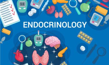 Endocrinology image dimensions 350 x 210 pixels